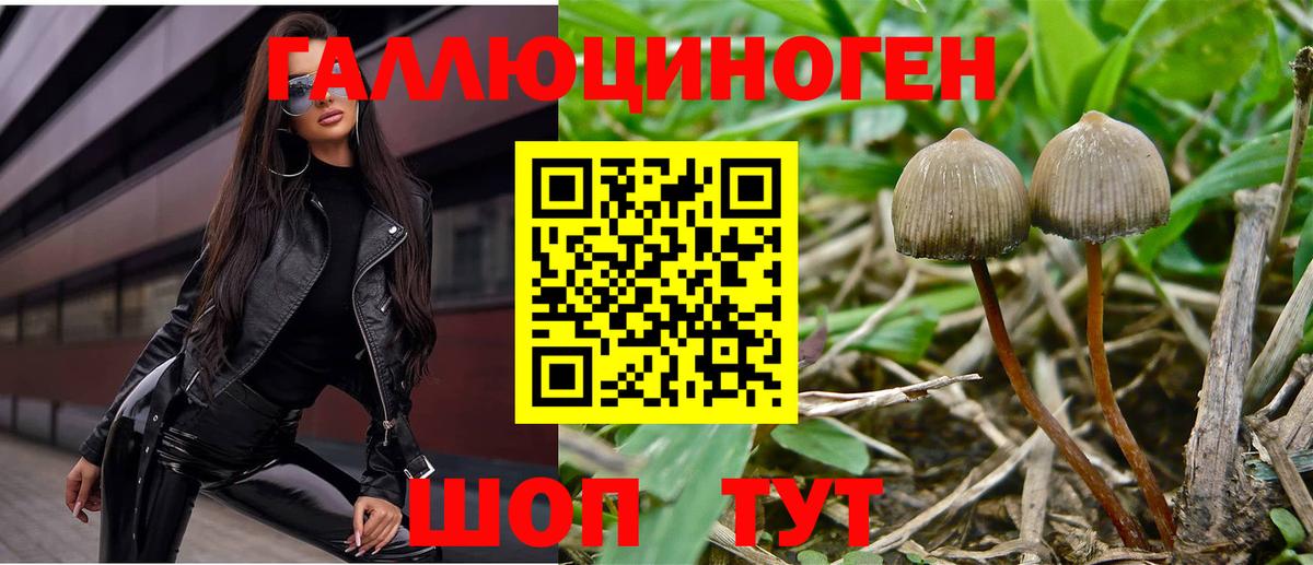 Галлюциногенные грибы Psilocybe  Вход с VPN  Псилоцибиновые грибы Cubensis  Нижнекамск 